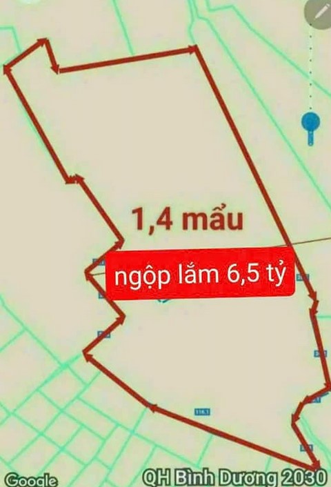 Bán 1,4 ha Đất Trồng Cây Lâu Năm Long Nguyên