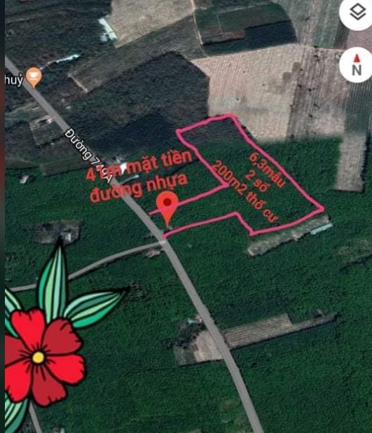 Bán 6 ha đất CLN có 200m2 thổ cư xã Minh Thạnh, Dầu Tiếng